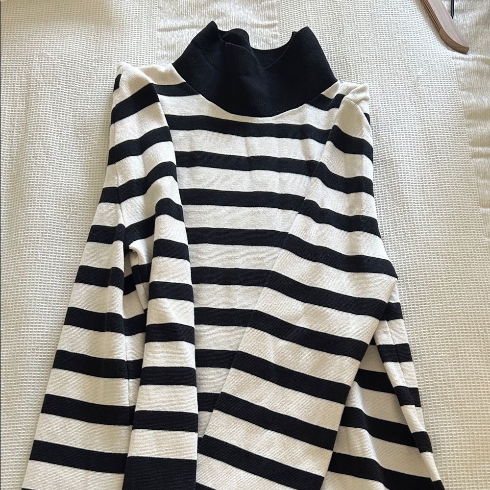 Striped Turtleneck Sweater